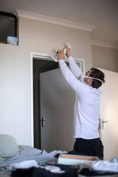 Best Mold Odor Removal Services  in Tuscumbia, AL