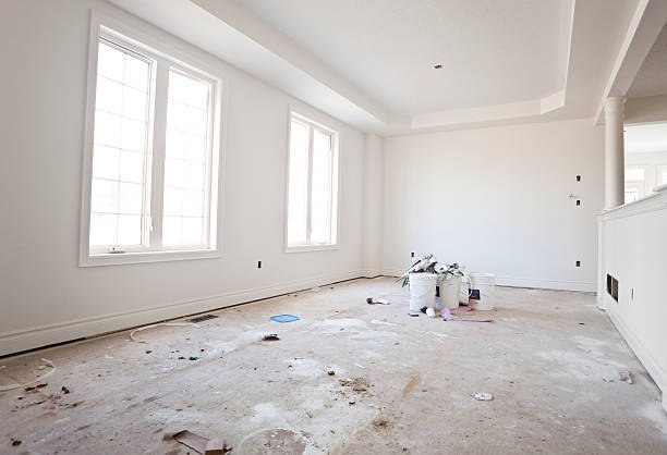 Best Basement Mold Removal  in Tuscumbia, AL