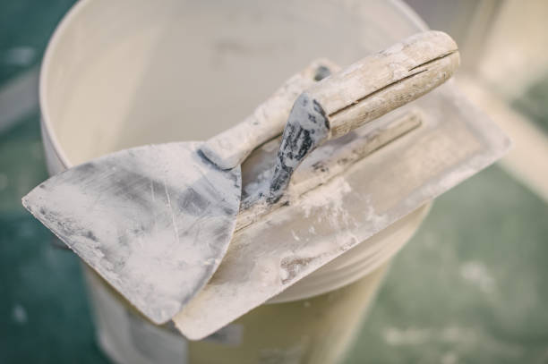 Best Post-Construction Mold Inspection  in Tuscumbia, AL
